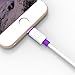 Walnut Lightning to USB Cable 4ft / 1.2m with Ultra-Compact Connector Head for iPhone 6 6Plus 5s, iPad Air mini2, iPad 4th gen, iPod touch 5th gen, and iPod nano 7th gen (Purple)