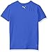 PUMA Big Boys' No.1 Logo Tee, Royal, 18-20 (X-Large)