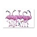 22 x 14 Wall Vinyl Sticker Cool Flamingos with Sunglasses