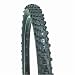 WTB Moto Raptor SE MTB Tire