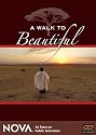 A Walk To Beautiful - NOVA