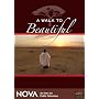 A Walk To Beautiful - NOVA