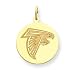 14K Atlanta Falcons Logo Large Round Charm