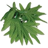 Beistle 57410 12-Pack Tropical Fern Leaf Wristlet/Anklet, 10-Inch