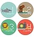 Lucy Darling Shop Monthly Baby Stickers - Baby Boy - Zoo Animals - Months 1-12