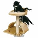 Vitoria Cute Cat Claw Scratching Furniture Kitten Toy