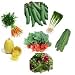 Kid's Vegetable Seed Selection