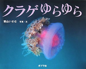 クラゲゆらゆら (ふしぎいっぱい写真絵本)
