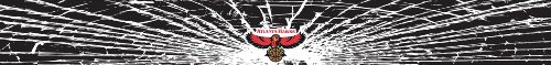Atlanta Hawks Shattered Auto Visor Decal