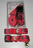 Calgary Flames Dog Pet Set Leash Collar ID Tag XS