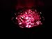 Beautiful Solar Red Rose Light, Flower Garden Stake Outdoor Yard Decor Landscape LED Lamp Lights, Great Gift
