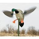 Super Mojo Mallard Duck Decoy