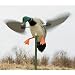 Super Mojo Mallard Duck Decoy