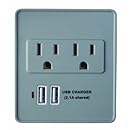 Woods 041051 Dual USB Charger 2-Outlet Surge Protector with Built-in Cradle, 245-Joules of Protection