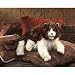 Plush Ragdoll Cat Puppet 28"