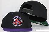 Toronto Raptors Snapback Authentic Hat