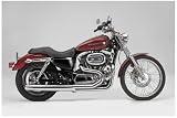 CALIBER F/S 2:1 SPORTSTER - Samson -