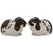 from Quail Quail Ceramics - Brown & White Lop Eared Rabbit Salt And Pepper Pots Model 605/brw