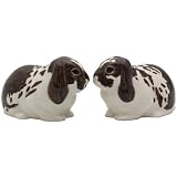 Quail Ceramics - Brown & White Lop Eared Rabbit Salt And Pepper Pots