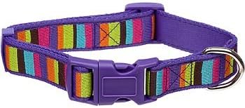 Planet Petco Adjustable Striped Eco Dog Collar in Purple~MEDIUM~
