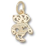 University of Wisconsin Bucky 2 Sided 1/2 Pendant (Gold Plated)