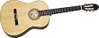 Lyons Classroom Guitar, 4/4 Size