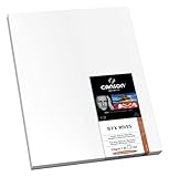 Canson Infinity- BFK Rives 310gsm White (Twenty-Five 13x19 Inch Sheets)