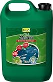 Tetra  183117 Tetra Pond AlgoFree 3 L - AlgenbekÃ¤mpfung im Gartenteich
