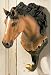 Bay Horse Coat Hook