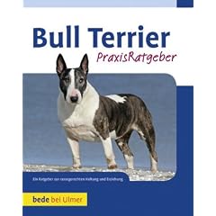 Bull Terrier
