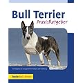 Bull Terrier