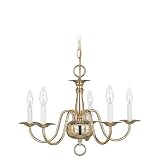 Sea Gull Lighting 3313-02 Traditional Five-Light Chandelier, Brass Finish