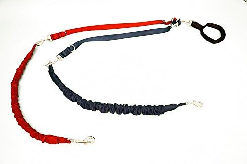 Larz Dog Products Tandem Leash