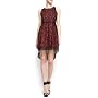 Mango Women's Tail Hem Cocktail Dress, L, Coral Mango