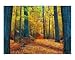 Going Home Places Photographic Poster Print by Gina Signore, 10x8 Image