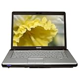Toshiba Satellite A205-S4577 15.4" Laptop (Intel Core 2 Duo Processor T5300, 1 GB RAM, 160 GB Hard Drive, SuperMulti DVD Drive, Vista Premium)