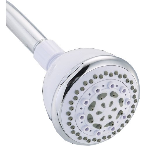 Peerless 5-Setting Shower