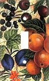 Decorative: Outlet Cover Switch Plate