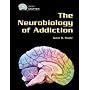 The Neurobiology of Addiction (Gray Matter)