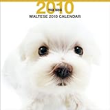 THE DOG マルチーズ 2010年 カレンダー