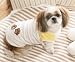 犬の洋服オーガニックコットン ポーＴシャツ Organic Cotton Paw T-shirt (S~XXL) Dog Wear (L)