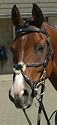 JW4 Super Deluxe Mexican with Rubber Reins-Black - Full