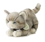 Aurora Plush 12 Knowing God: Walking through the Book of Books