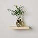 Ennospace 1.125 Inch x 10 Inch x 10 Inch Aspen Sol