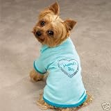 X-small Mamas Boy Dog Shirt