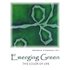 Emerging Green, the Color of Life (The Art of C R Strahan Note Cards, Boxed Set of 8 Cards... by  C R Strahan