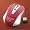 Virginia Tech Hokies