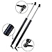 For Jeep Grand Cherokee 1999-2004 -- Gas Charged Liftgate Lift Support (set of 2)