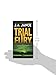 Trial by Fury (J. P. Beaumont Novel, 3)