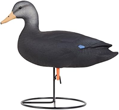 Black Duck Full Body Combo 4 Pack (1 Upright Drake, 1 Feeder Drake, 1 Upright Hen, 1 Feeder Hen)